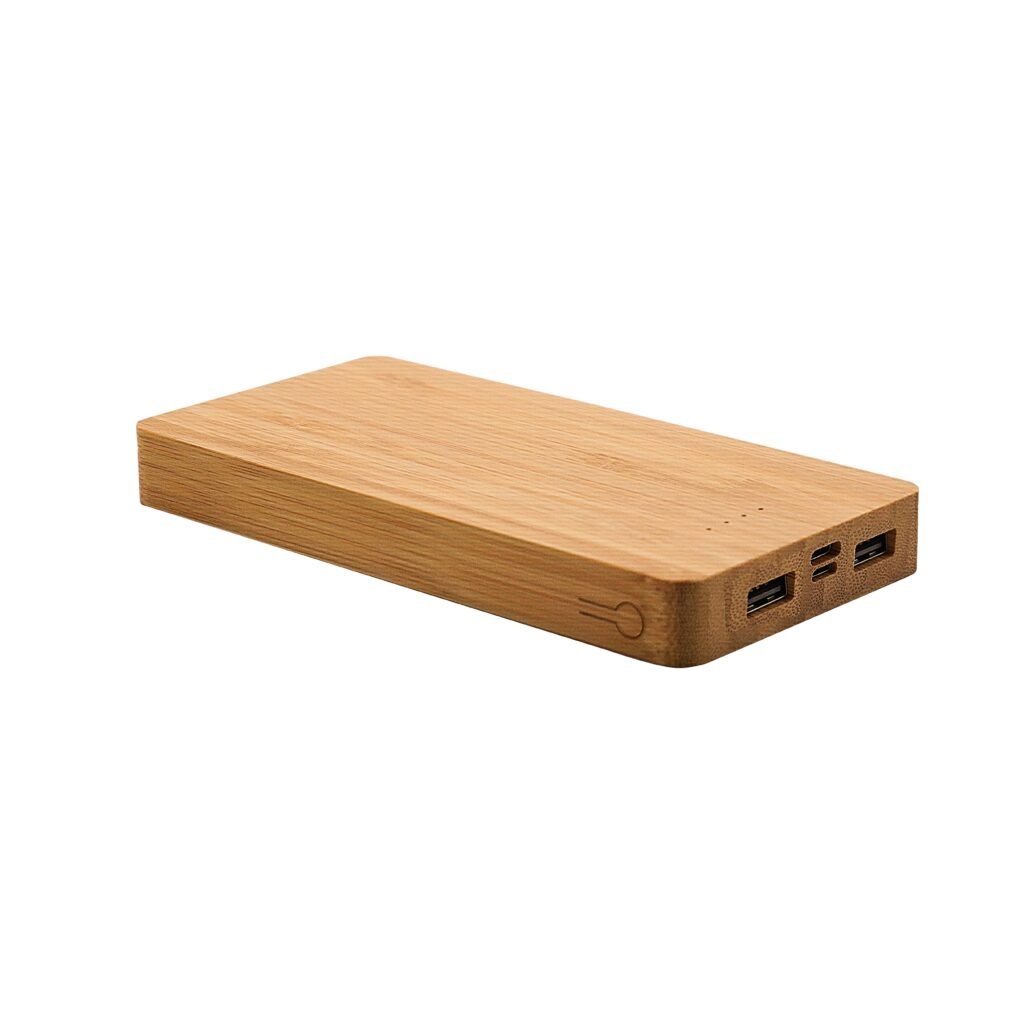 High-Capacity Power Bank (10000 mAH)
